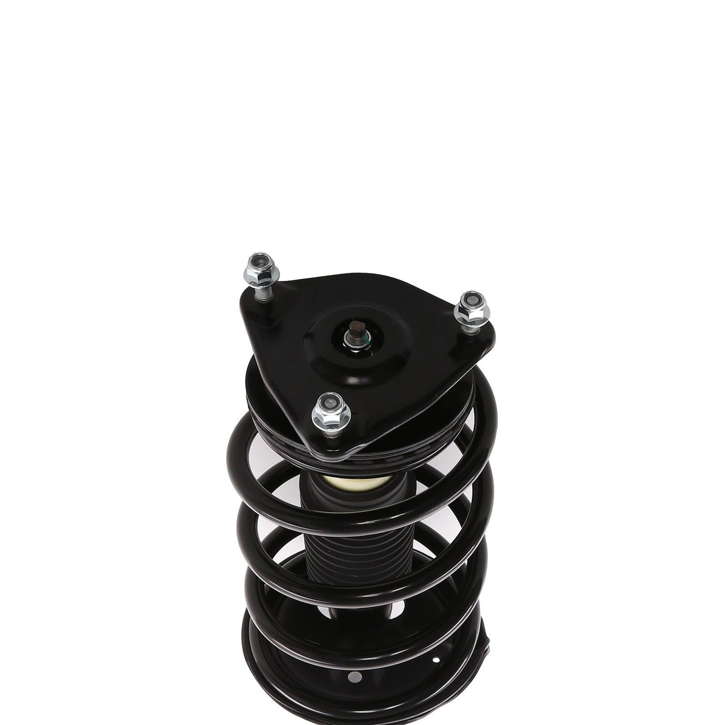 PRT Suspension Strut and Coil Spring Assembly 819578