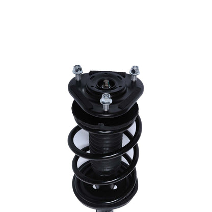PRT Suspension Strut and Coil Spring Assembly 819581