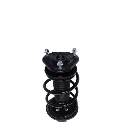 PRT Suspension Strut and Coil Spring Assembly 819582