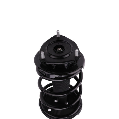 PRT Suspension Strut and Coil Spring Assembly 819583