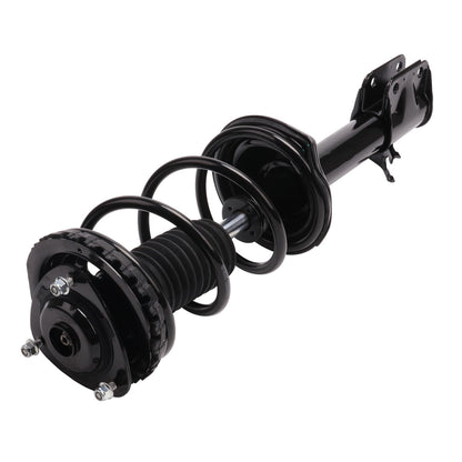 PRT Complete Strut Assembly 920009