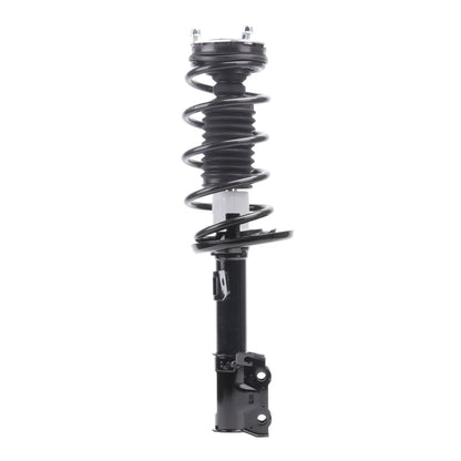 PRT Complete Strut Assembly 920052