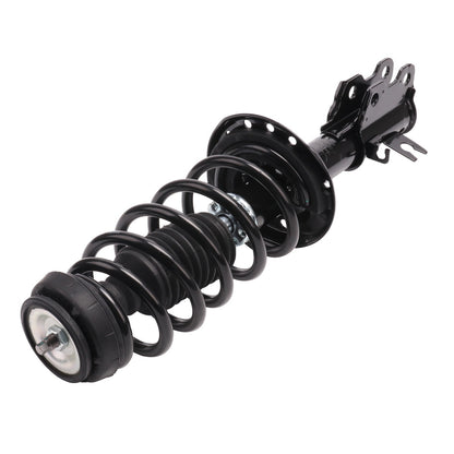 PRT Complete Strut Assembly 920061
