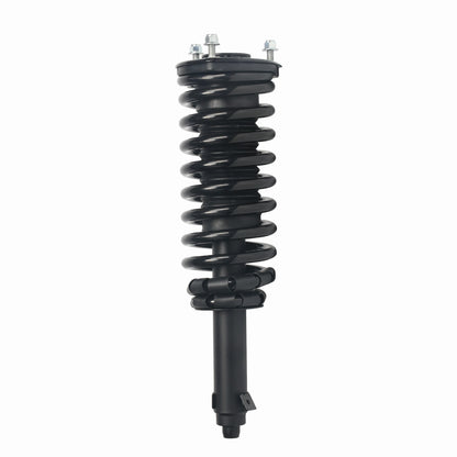 PRT Suspension Strut and Coil Spring Assembly 920248