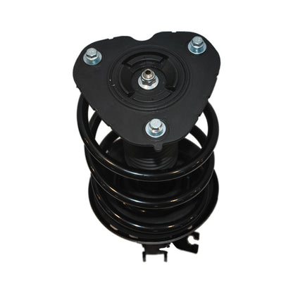 PRT Complete Strut Assembly 920280