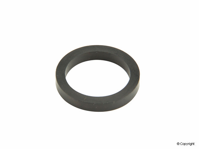 Reinz 40-77571-00