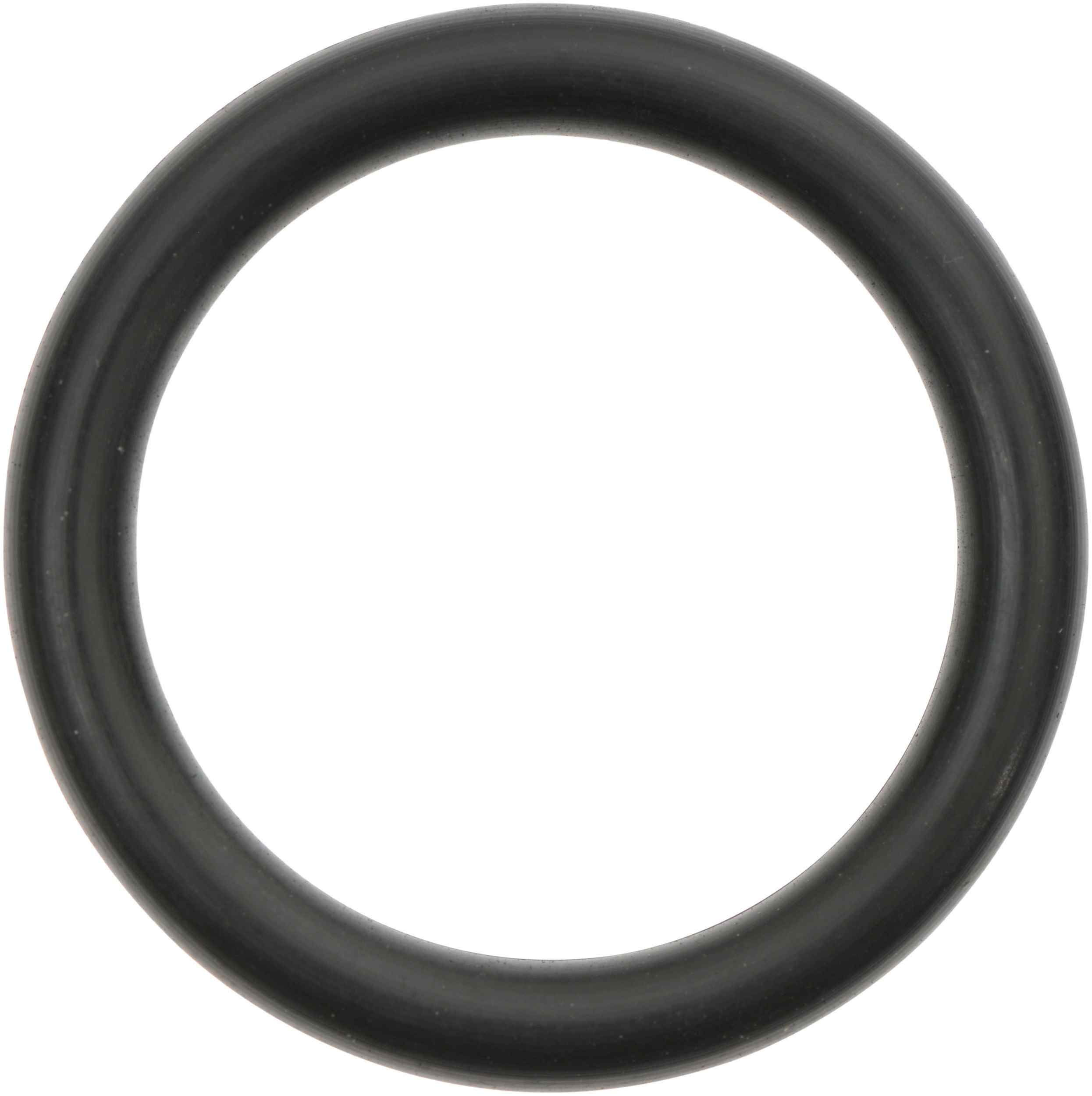 Reinz 41-10441-00
