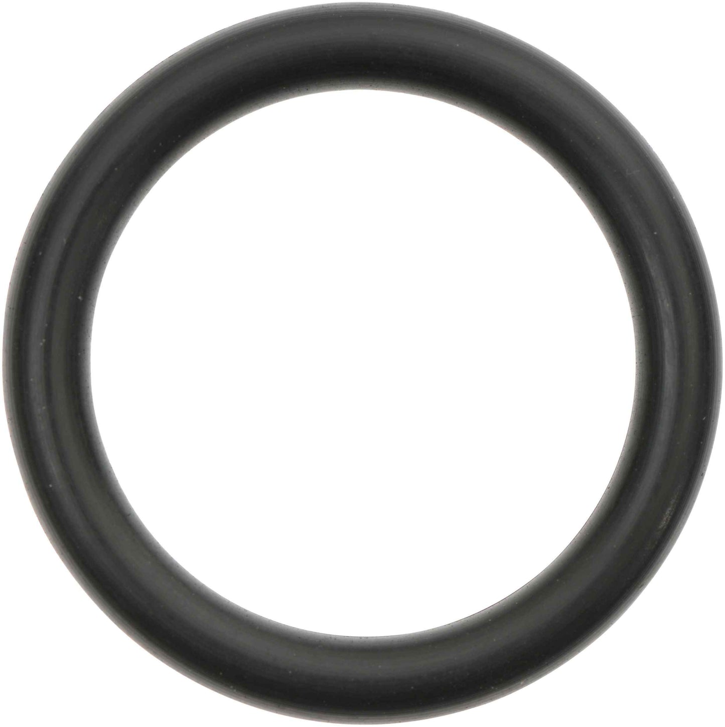 Reinz 41-10441-00
