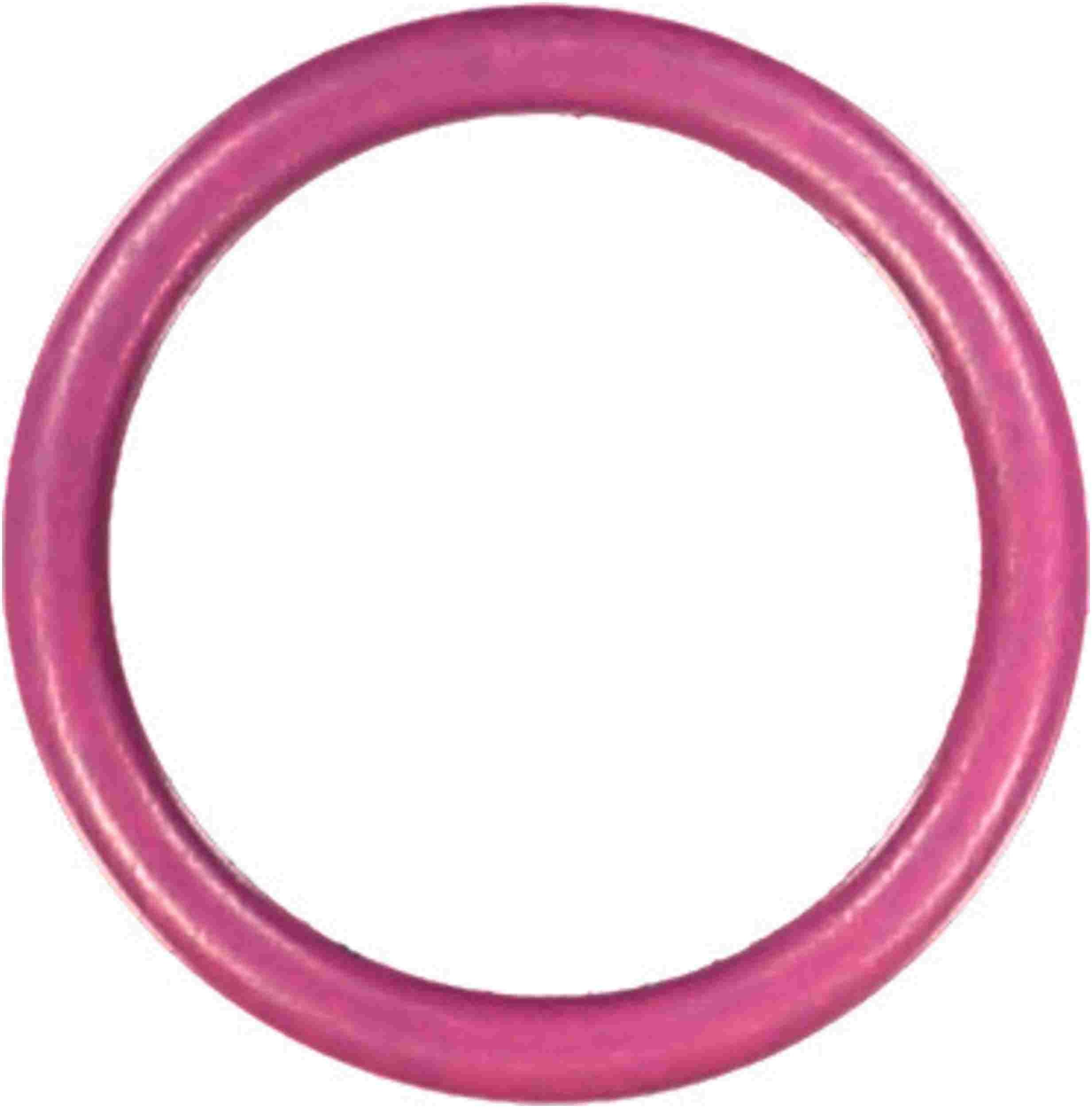 Reinz 41-76666-00