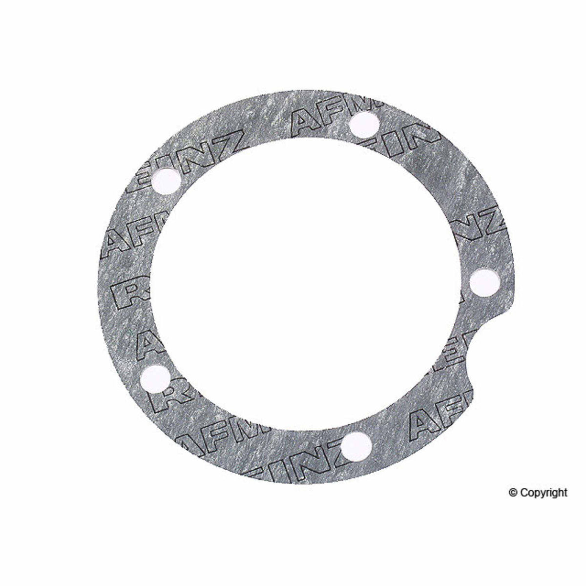 Reinz 70-23384-10