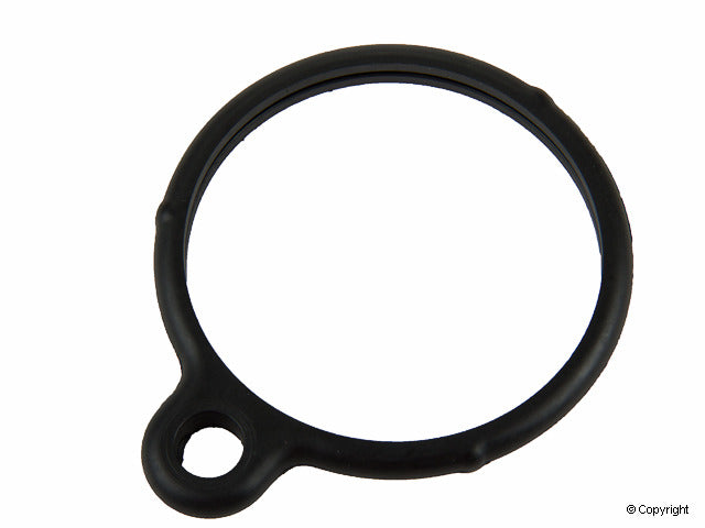 Reinz 70-25548-00