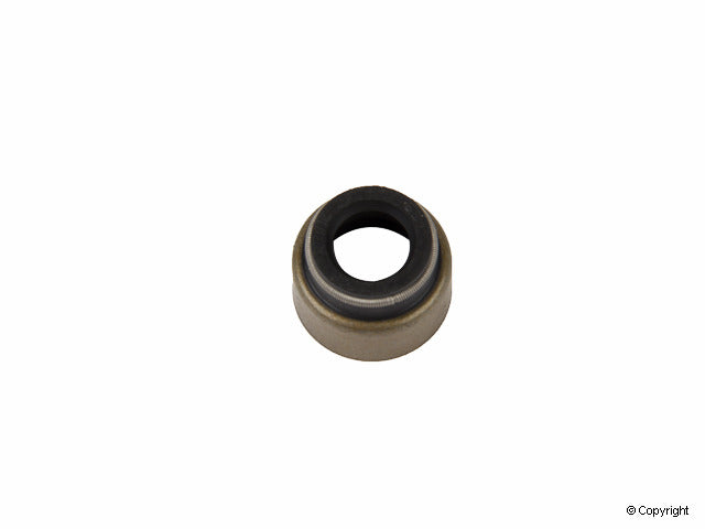 Reinz 70-25824-20