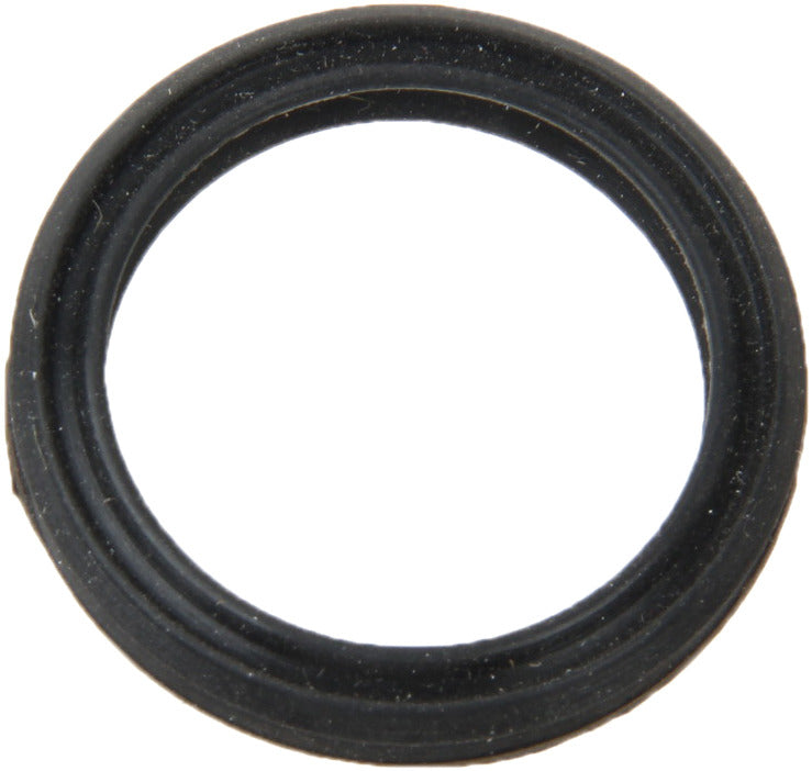 Reinz 70-39061-00