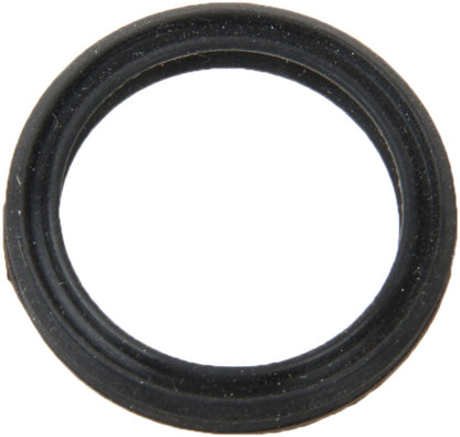 Reinz 70-39061-00