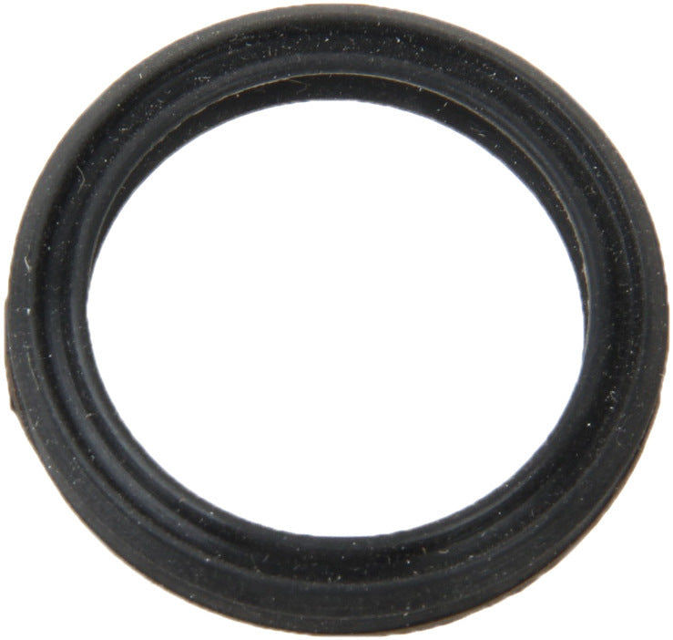 Reinz 70-39061-00
