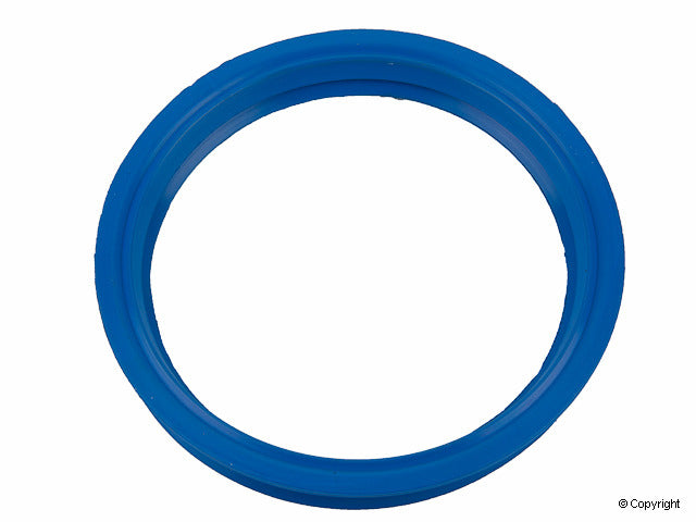 Reinz 70-39632-00
