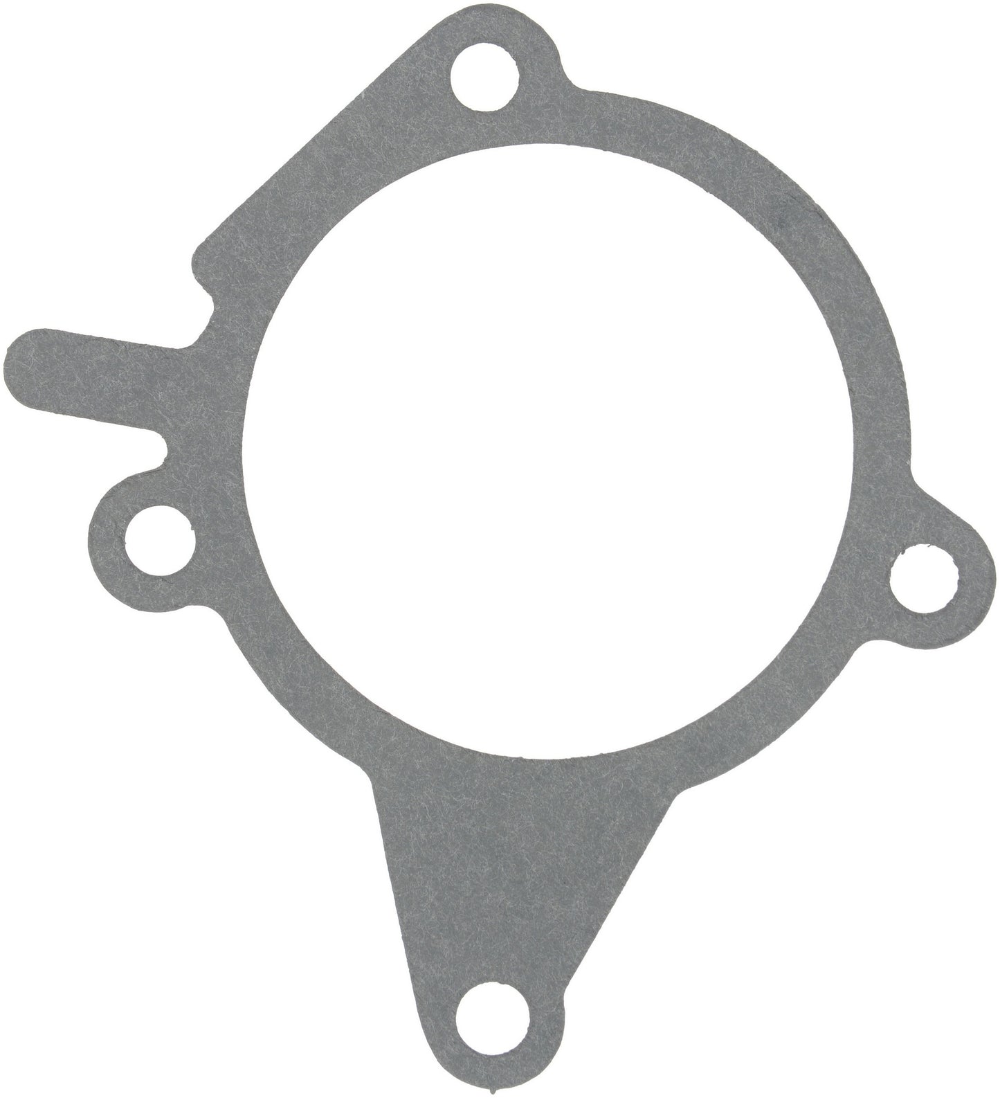 Reinz 71-15591-00