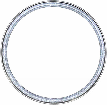 Victor Reinz Exhaust Manifold Gasket 71-24953-30