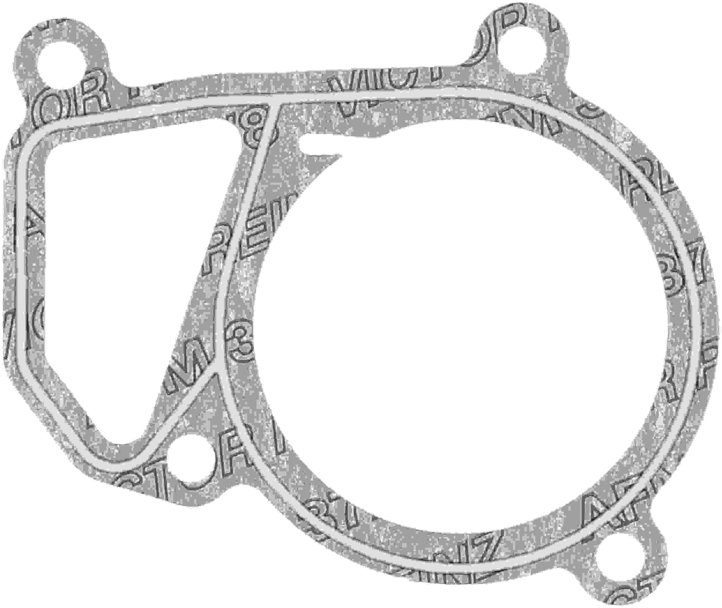 Reinz 71-28493-00