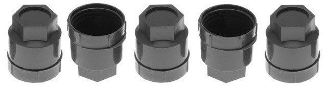 Raybestos Brakes Wheel Fastener Cover 10005N