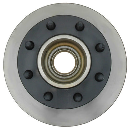 Raybestos Brakes Disc Brake Rotor and Hub Assembly 56022
