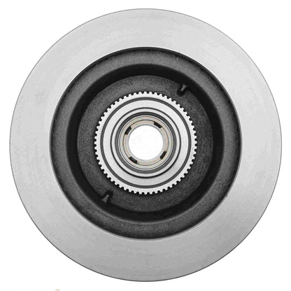 Raybestos Brakes Disc Brake Rotor and Hub Assembly 66529R