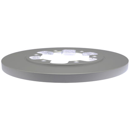 Raybestos Brakes Disc Brake Rotor 681790FZN
