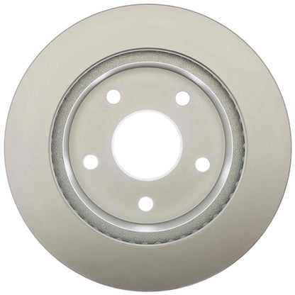 Raybestos Brakes Disc Brake Rotor 76917FZN