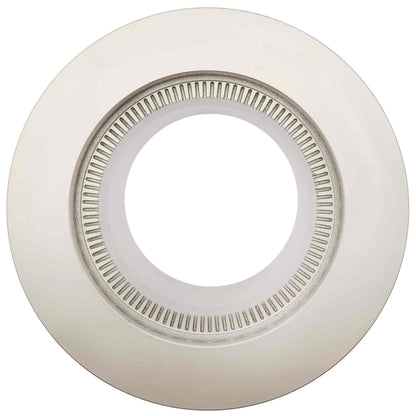 Raybestos Brakes Disc Brake Rotor 8546