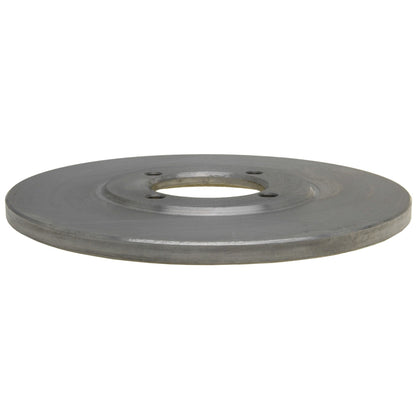 Raybestos Brakes Disc Brake Rotor 9254R