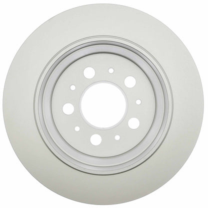 Raybestos Brakes Disc Brake Rotor 980045FZN