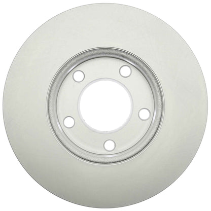 Raybestos Brakes Disc Brake Rotor 980295FZN