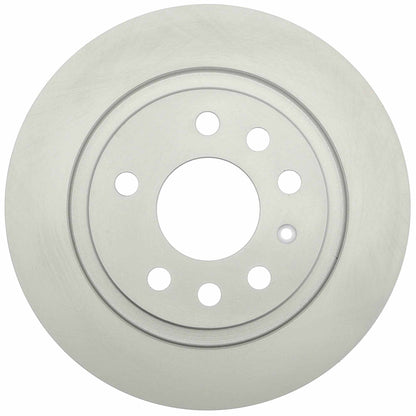 Raybestos Brakes Disc Brake Rotor 980329FZN