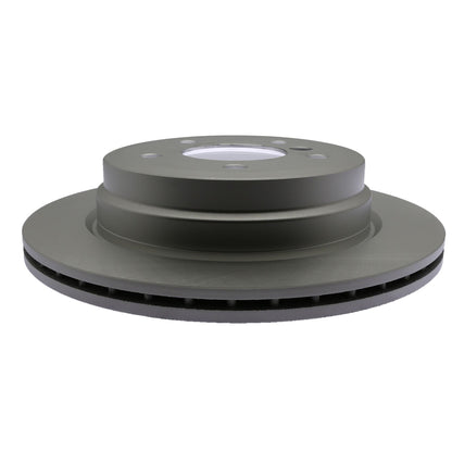 Raybestos Brakes Disc Brake Rotor 980495FZN