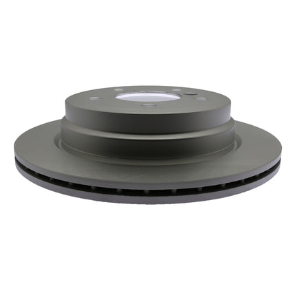 Raybestos Brakes Disc Brake Rotor 980495FZN