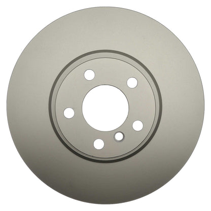 Raybestos Brakes Disc Brake Rotor 980591FZN