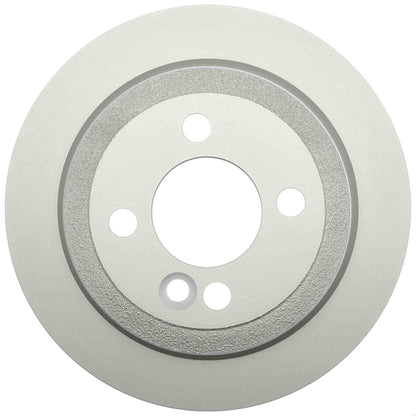 Raybestos Brakes Disc Brake Rotor 980604FZN