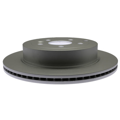 Raybestos Brakes Disc Brake Rotor 980641FZN