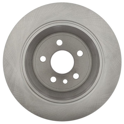 Raybestos Brakes Disc Brake Rotor 981793R