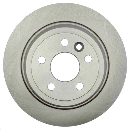 Raybestos Brakes Disc Brake Rotor 981793R