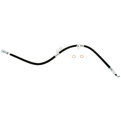 Raybestos Brakes Brake Hydraulic Hose BH382598