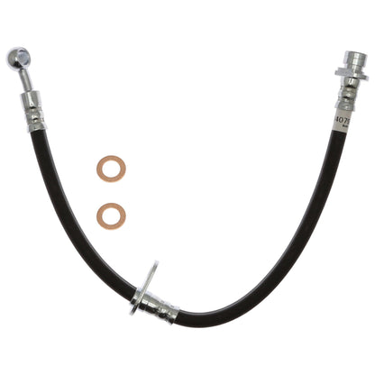 Raybestos Brakes Brake Hydraulic Hose BH384079