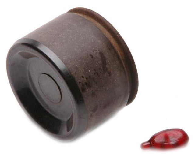 Raybestos Brakes Disc Brake Caliper Piston DP85028