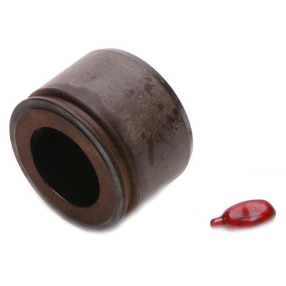 Raybestos Brakes Disc Brake Caliper Piston DP85028
