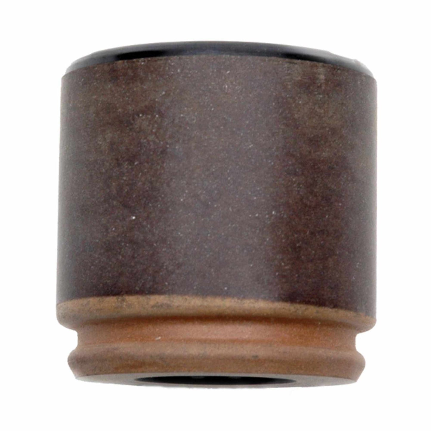 Raybestos Brakes Disc Brake Caliper Piston DP85456