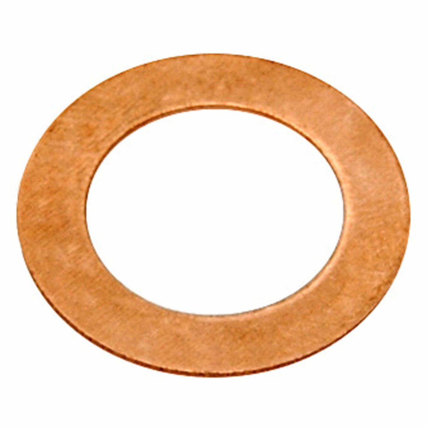 Raybestos Brakes Banjo Washer G1245