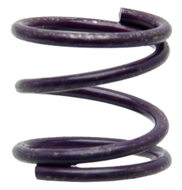 Raybestos Brakes Drum Brake Shoe Hold Down Spring H1084