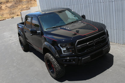 APR Carbon Fiber Ford F-150 Raptor Hood Vent 2017-2020