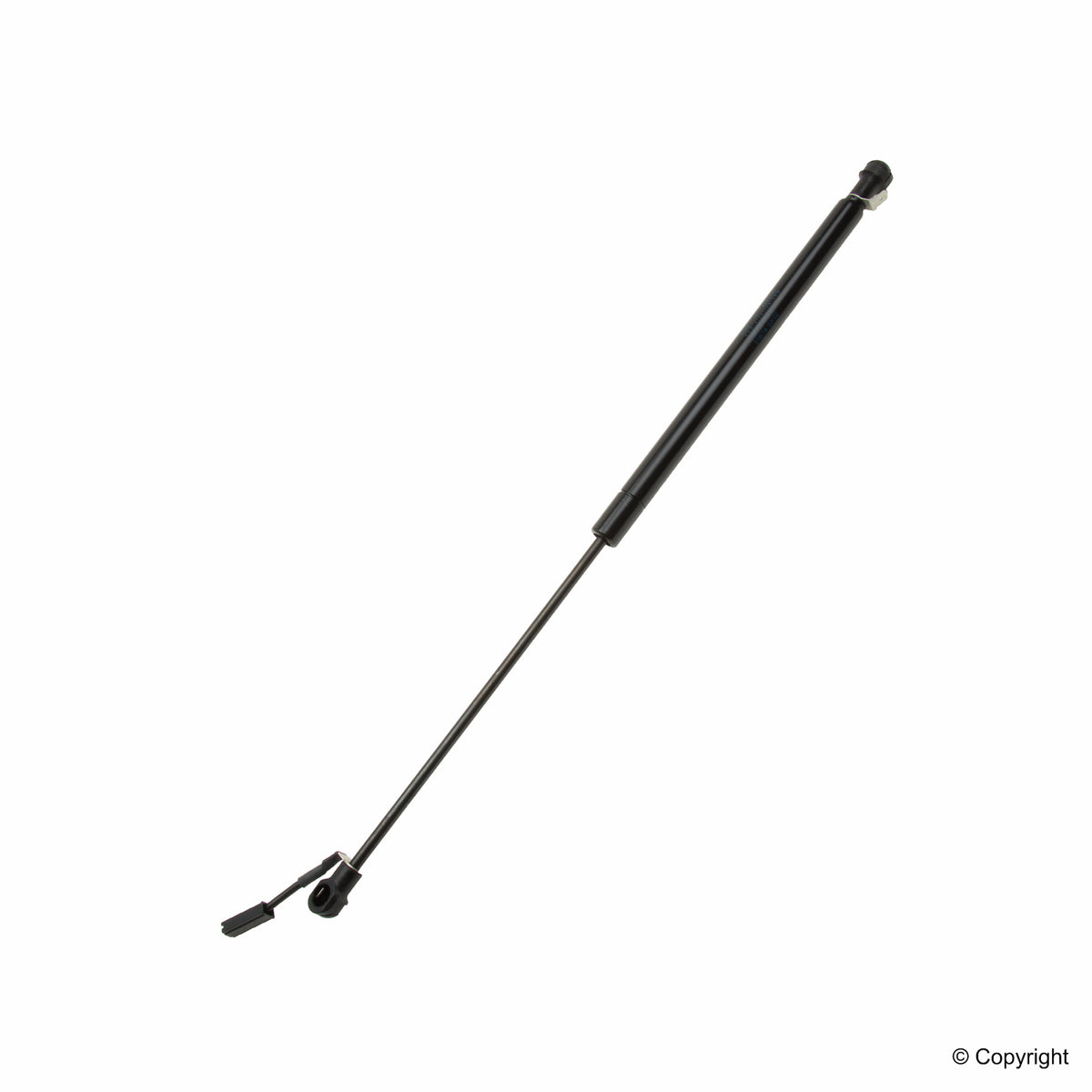 Sachs 0695SX