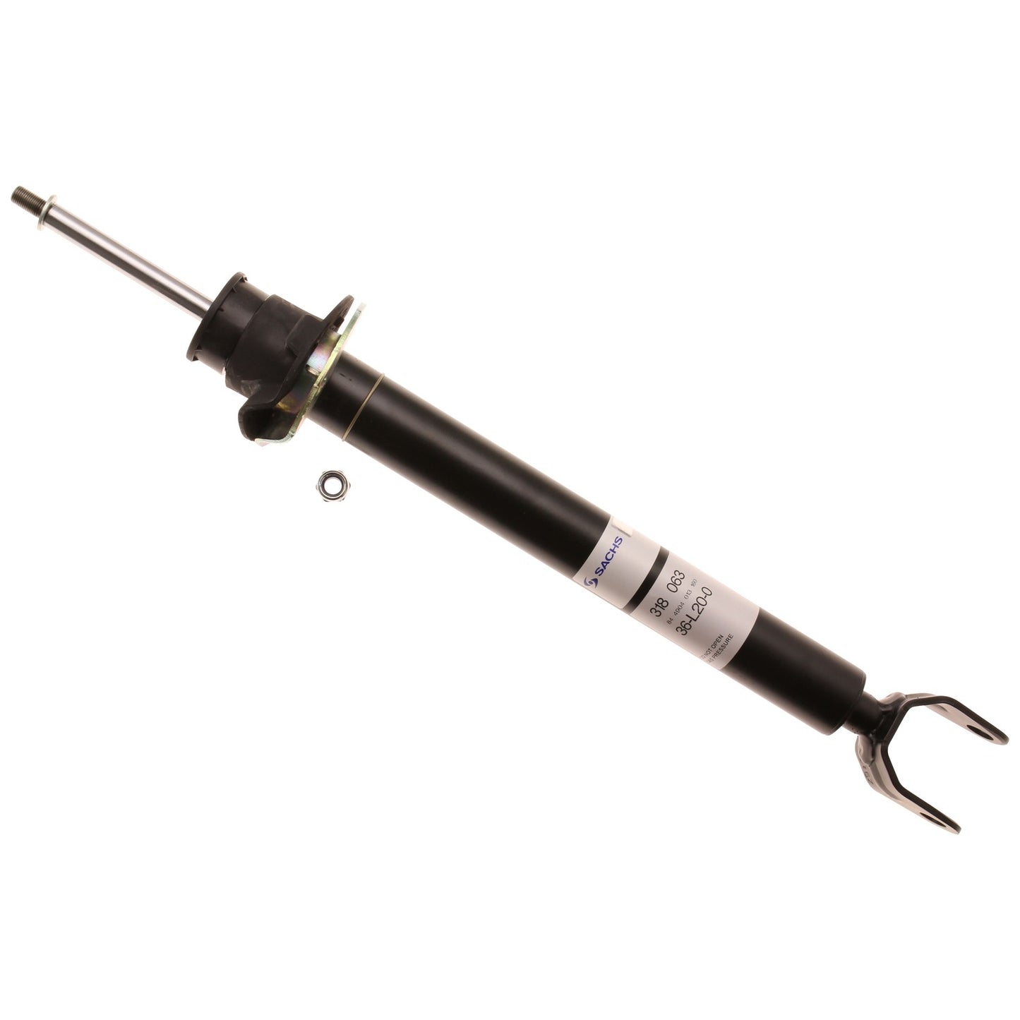 Sachs 318063 main image